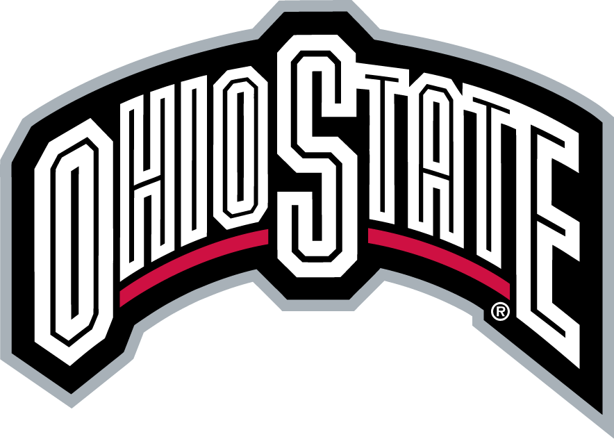 Ohio State Buckeyes 2003-2012 Wordmark Logo diy iron on heat transfer...